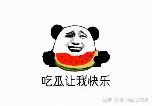 吃瓜网在线观看视频 今日吃瓜热心的朝阳群众进入,今日吃瓜网视频揭秘热点事件